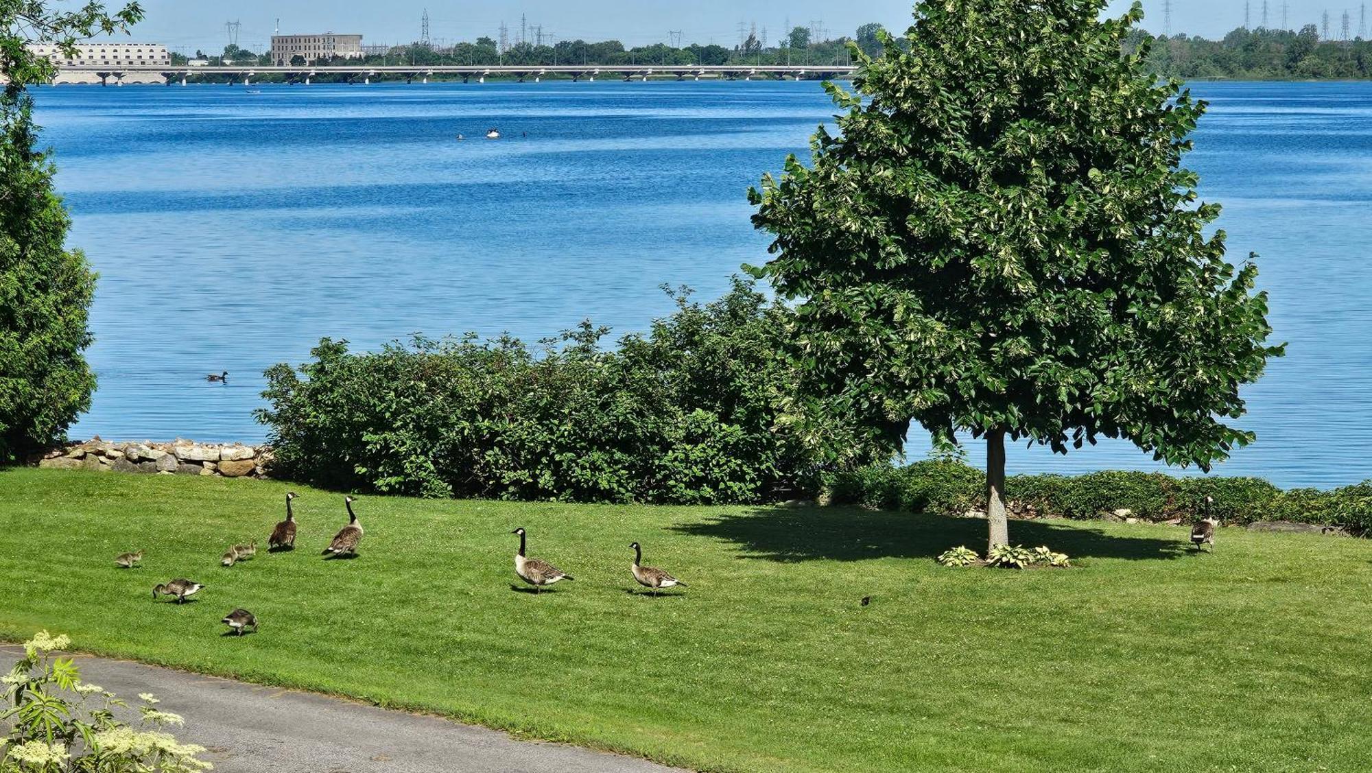 Hotel Oasis Lac St-Louis Salaberry-de-Valleyfield Extérieur photo